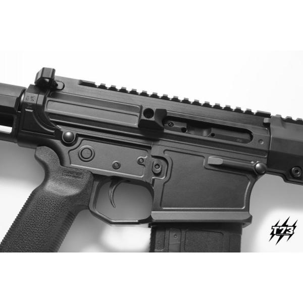 TACTICAL 73-AR10-MOD. TAC. 308-BILLET