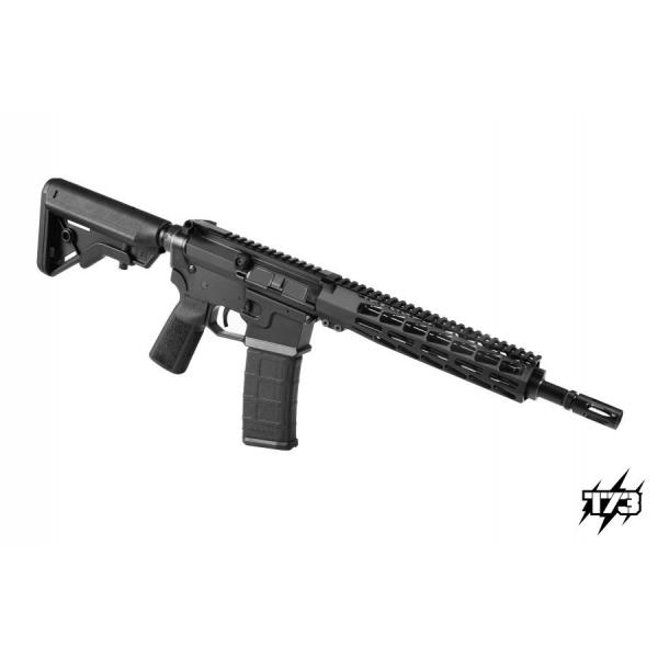 TACTICAL 73-AR15TAC 300-.300 BLK/300ACC